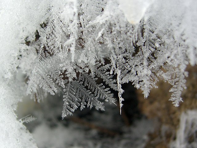 Riddle 74 Feathery Snow Crystals